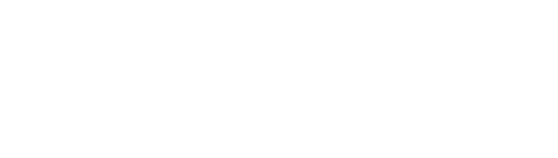 The Public House logo